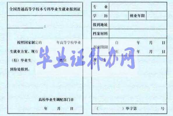 大學畢業生報到證丟了怎么補辦？