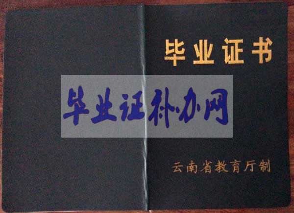 云南省中專畢業證樣本圖片模板